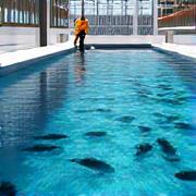 IoTセンサーが設置された現代的な養殖施設