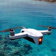 ドローンが海洋を監視し、生態系データを収集