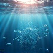 海中で魚群の周りを囲む持続可能な漁網